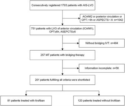 Safety and Efficacy of Low-Dose Tirofiban Combined With Intravenous Thrombolysis and Mechanical Thrombectomy in Acute Ischemic Stroke: A Matched-Control Analysis From a Nationwide Registry